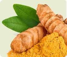Curcumin