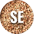 Selenium SeLECT