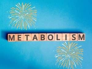 metabolismo lento